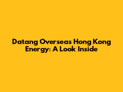 Datang Overseas Hong Kong Energy: A Look Inside