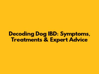 Decoding Dog IBD: Symptoms, Treatments & Expert Advice