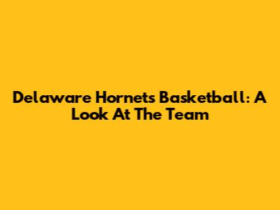 Delaware Hornets Basketball: A Look At The Team