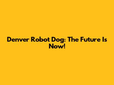 Denver Robot Dog: The Future Is Now!