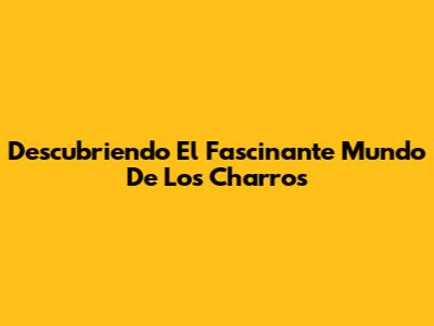 Descubriendo El Fascinante Mundo De Los Charros