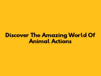 Discover The Amazing World Of Animal Actions