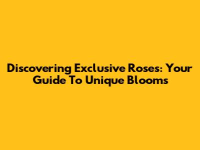 Discovering Exclusive Roses: Your Guide To Unique Blooms