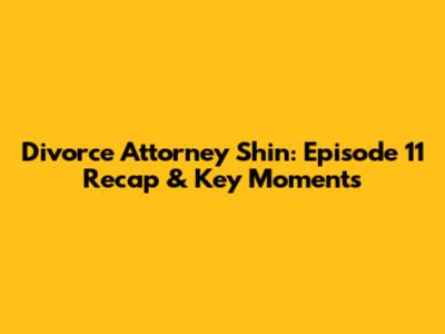 Divorce Attorney Shin: Episode 11 Recap & Key Moments