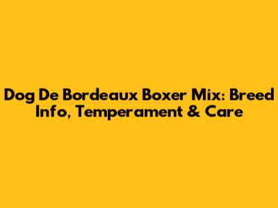 Dog De Bordeaux Boxer Mix: Breed Info, Temperament & Care