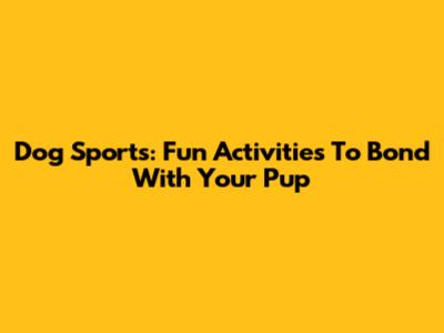 Dog Sports: Fun Activities To Bond With Your Pup