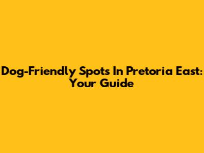 Dog-Friendly Spots In Pretoria East: Your Guide