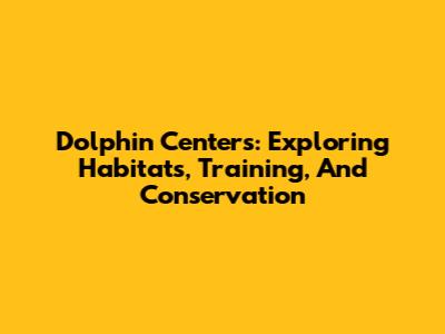 Dolphin Centers: Exploring Habitats, Training, And Conservation