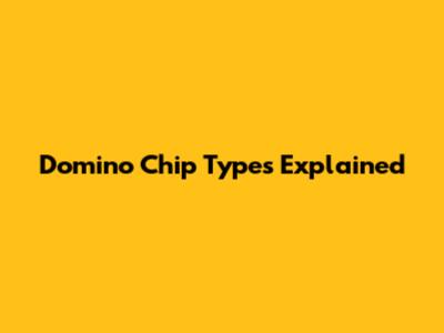 Domino Chip Types Explained