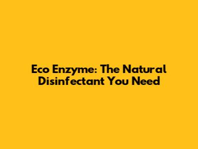 Eco Enzyme: The Natural Disinfectant You Need