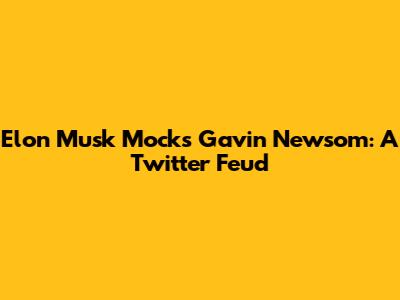 Elon Musk Mocks Gavin Newsom: A Twitter Feud