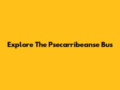 Explore The Psecarribeanse Bus