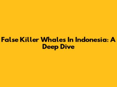 False Killer Whales In Indonesia: A Deep Dive