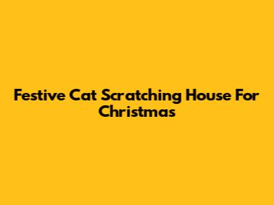 Festive Cat Scratching House For Christmas
