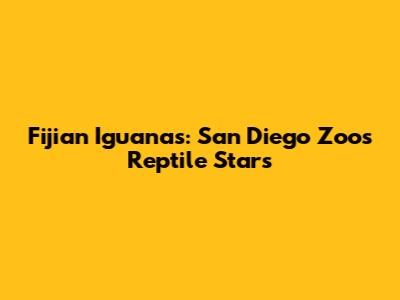 Fijian Iguanas: San Diego Zoo's Reptile Stars
