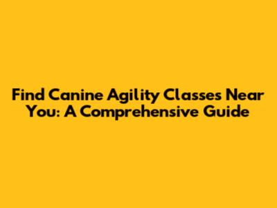 Find Canine Agility Classes Near You: A Comprehensive Guide