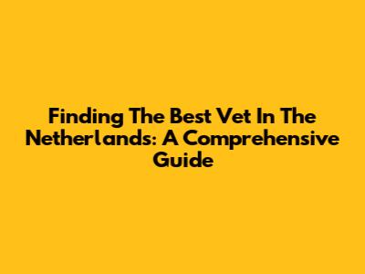 Finding The Best Vet In The Netherlands: A Comprehensive Guide