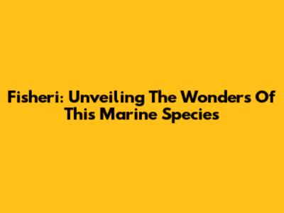 Fisheri: Unveiling The Wonders Of This Marine Species