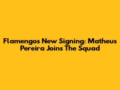 Flamengo's New Signing: Matheus Pereira Joins The Squad