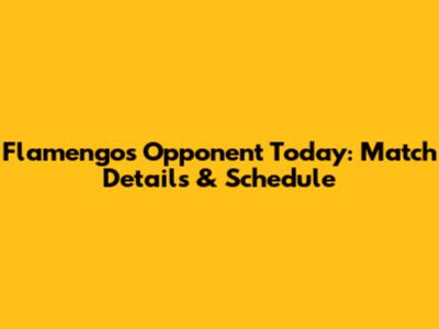 Flamengo's Opponent Today: Match Details & Schedule