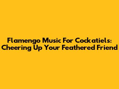 Flamengo Music For Cockatiels: Cheering Up Your Feathered Friend