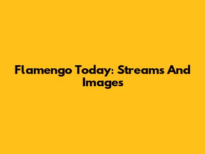 Flamengo Today: Streams And Images