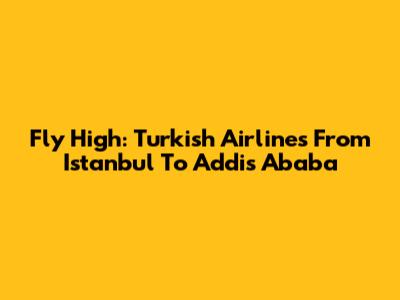 Fly High: Turkish Airlines From Istanbul To Addis Ababa