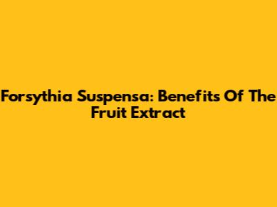 Forsythia Suspensa: Benefits Of The Fruit Extract