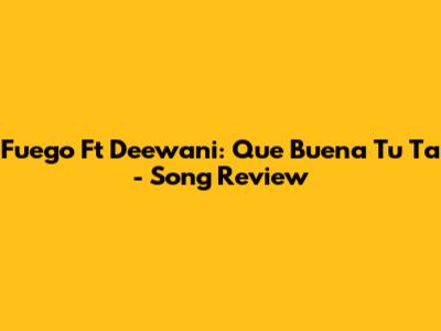 Fuego Ft Deewani: Que Buena Tu Ta - Song Review