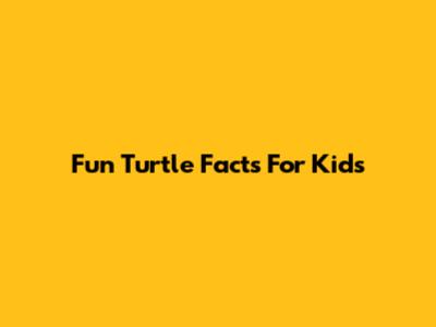 Fun Turtle Facts For Kids