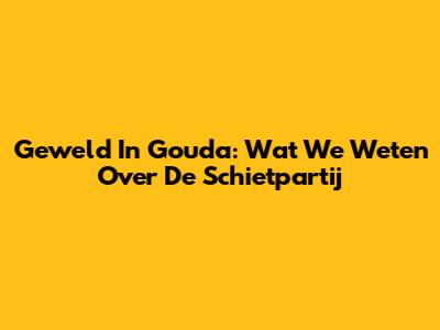 Geweld In Gouda: Wat We Weten Over De Schietpartij