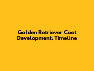 Golden Retriever Coat Development: Timeline