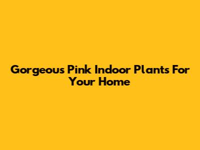 Gorgeous Pink Indoor Plants For Your Home
