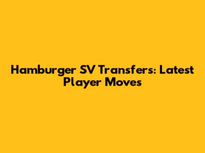 Hamburger SV Transfers: Latest Player Moves