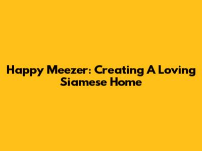Happy Meezer: Creating A Loving Siamese Home