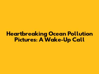 Heartbreaking Ocean Pollution Pictures: A Wake-Up Call