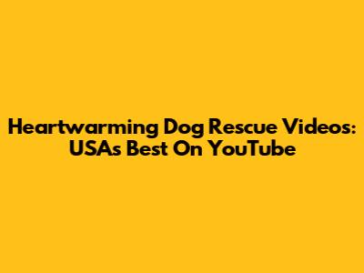Heartwarming Dog Rescue Videos: USA's Best On YouTube