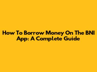 How To Borrow Money On The BNI App: A Complete Guide