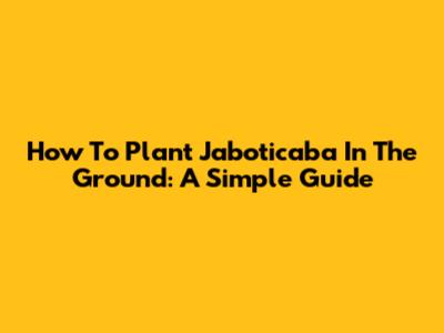 How To Plant Jaboticaba In The Ground: A Simple Guide