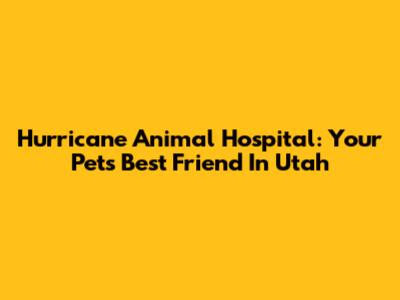 Hurricane Animal Hospital: Your Pet's Best Friend In Utah
