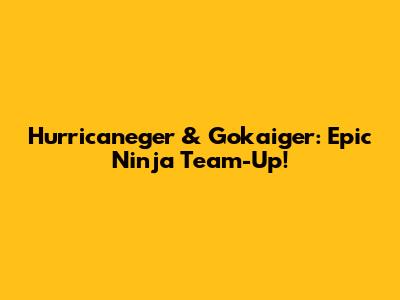 Hurricaneger & Gokaiger: Epic Ninja Team-Up!