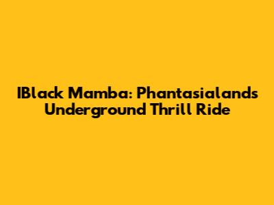 IBlack Mamba: Phantasialand's Underground Thrill Ride