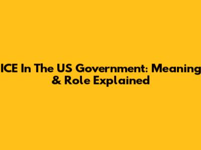 ICE In The US Government: Meaning & Role Explained