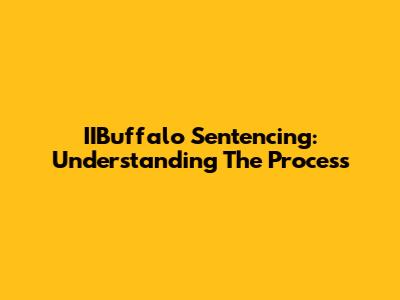 IIBuffalo Sentencing: Understanding The Process