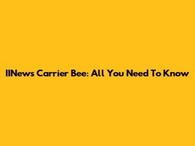 IINews Carrier Bee: All You Need To Know