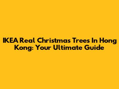 IKEA Real Christmas Trees In Hong Kong: Your Ultimate Guide