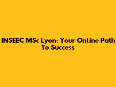INSEEC MSc Lyon: Your Online Path To Success