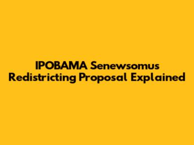 IPOBAMA Senewsomu's Redistricting Proposal Explained