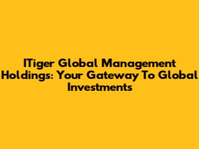 ITiger Global Management Holdings: Your Gateway To Global Investments