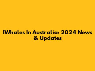 IWhales In Australia: 2024 News & Updates